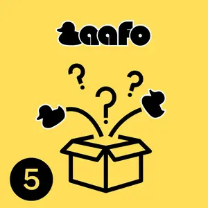 5 Duck Mystery Box w/ Rubber Ducks