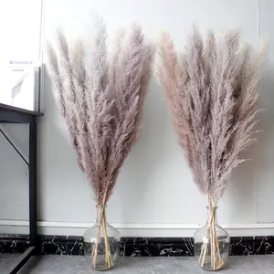 46" Inch 10 Stems Natural Grey Pampas Grass Decor Tall for Boho Wedding Farmhouse Home Decor Dried Flower Bouquet Unique Gift Boho Style