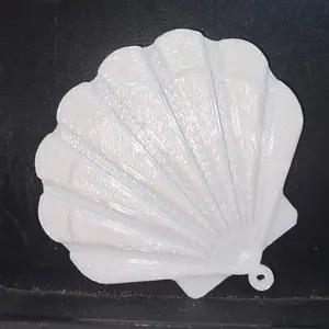 shell earrings