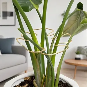 1pc Durable Monstera Stabilizer & Support System - Metal Climbing Plant Trainer Ideal for Healthy Plant Growth, Secure & Decorative Garden Support, Plant Support Structure, Indoor Plant Trellis|Climbing Plant Support|Metal Stabilizer