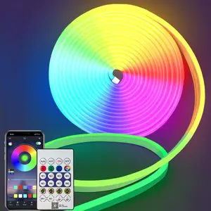 5M/16.4FT LED Neon Rope Lights, RGB Strip Ambient Lighting, IP67 Waterproof Flexible Rope Light with APP and Remote Control, Dimmable Neon Strip for Gaming Room Living Room Bedroom Indoor Outdoor Decor