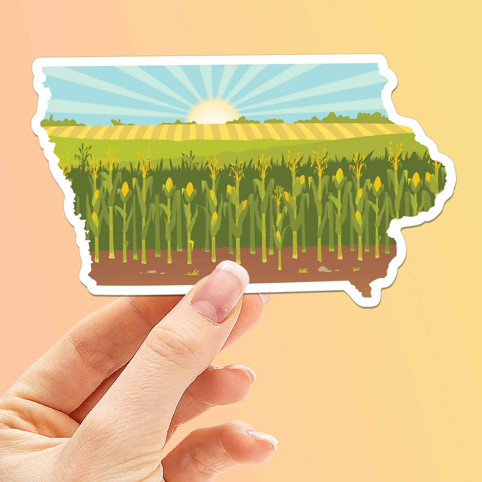 Iowa Corn Bumper Sticker - Cute Midwest Farm Decal