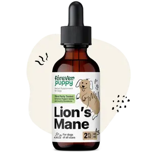 Lions Mane Mushroom Supplement for Dogs - Brain & Focus Support - Liquid Lion's Mane Mushroom for Dogs - Canine Vitamins and Supplements - Sugar & Alcohol-Free Drops - 2 fl oz