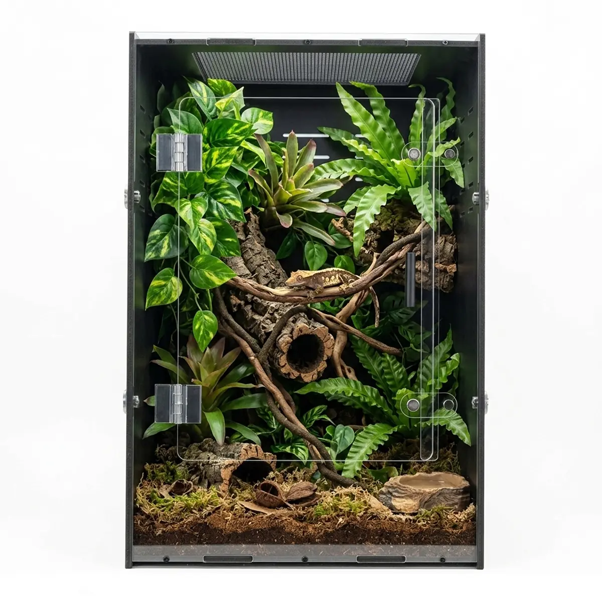 MonsterBox Enclosure's, 16"x16"x24" DIY Enclosure for Pet Amphibians, Pet Supplies for Reptile Habitat Setup MonsterBox Enclosure's, 16"x16"x24" DIY Enclosure for Pet Amphibians, Pet Supplies for Reptile Habitat Setup