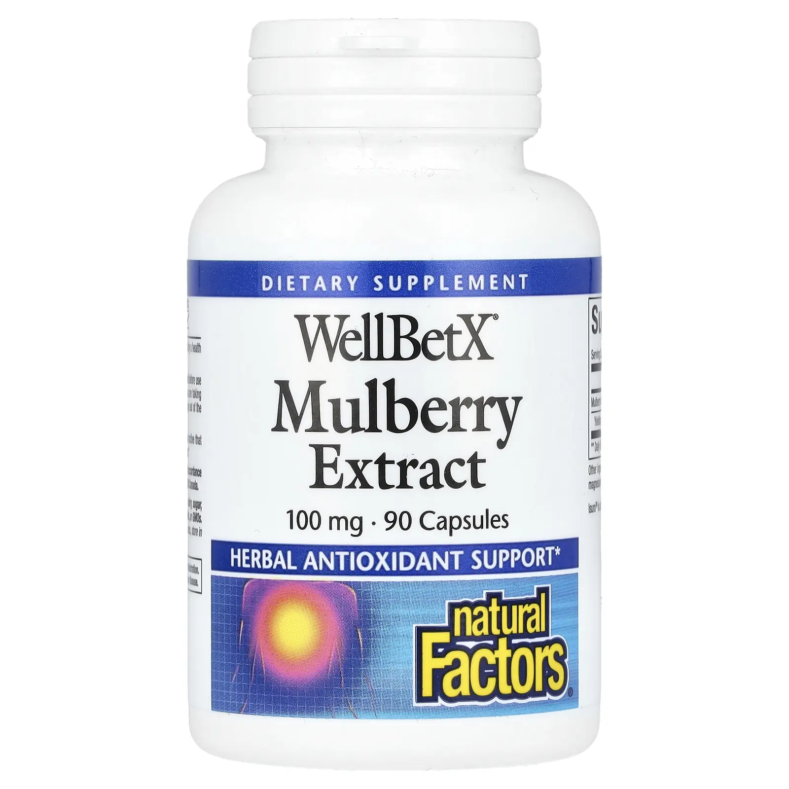 Natural Factors WellBetX, Mulberry Extract, 100 mg, 90 Capsules