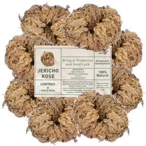 Large Jericho Flower (2.5"–3.5") – Premium Rosa de Jericho | Resurrection Plant for Unique Home Decor