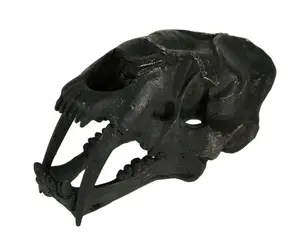 Black Saber Toothed Cat Skull Statue Smilodon