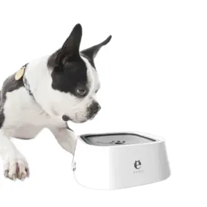 Floating water bowl