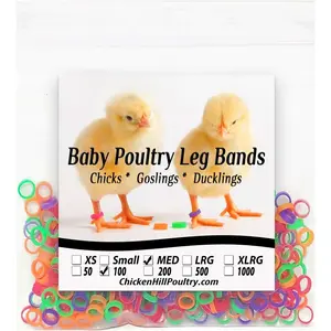 Poultry  Bands 1/4" Medium Chick (100)