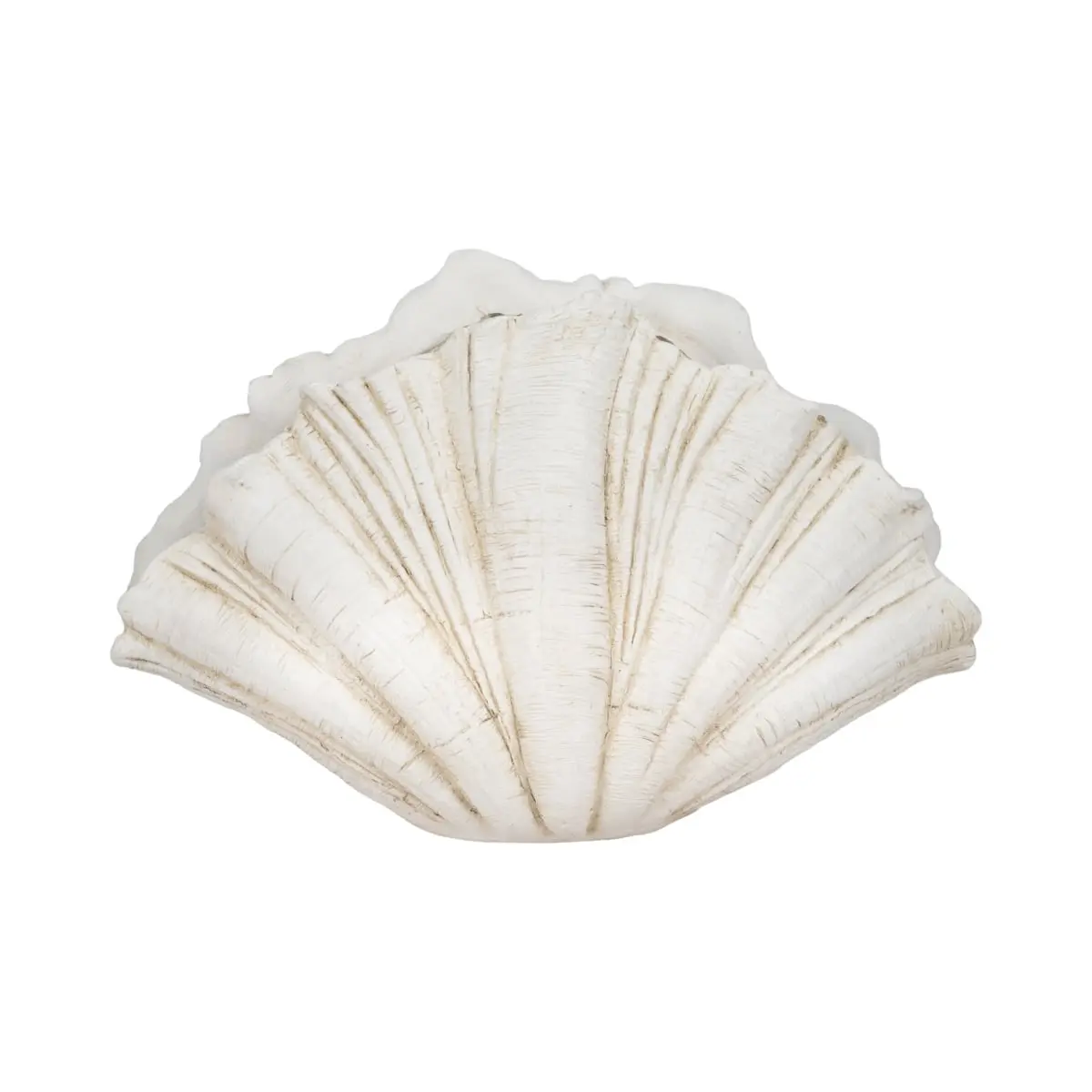 212 MAIN 22 in. White Scallop Shell Polyresin Decorative Centerpiece, Coastal Decor Home Decor Piece with Nautical Flair & Ocean Charm - Model 20411