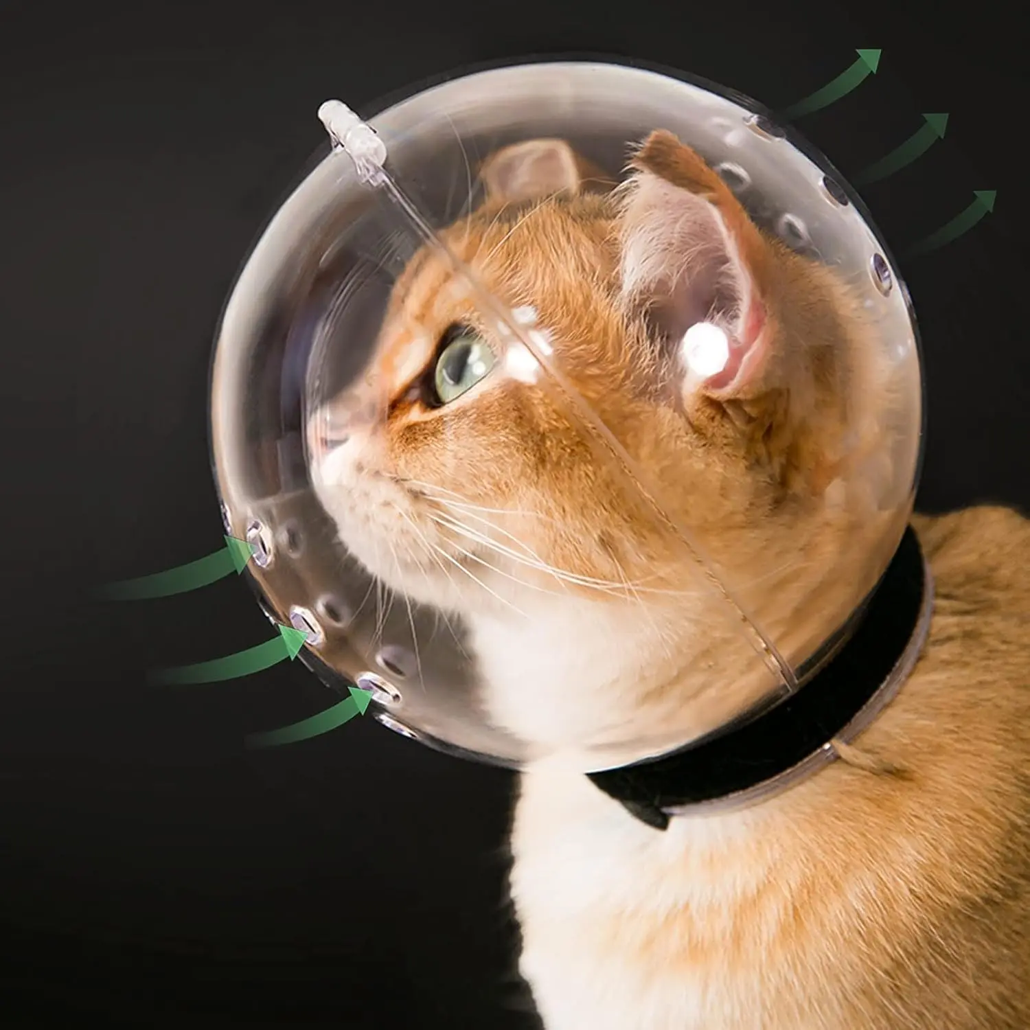 Translucent Cat Muzzle Bite Guard - Breathable Cap, Adjustable Spherical Helmet, Behavior Control for Aggressive Cats, Prevents Grooming/Chewing, Size M