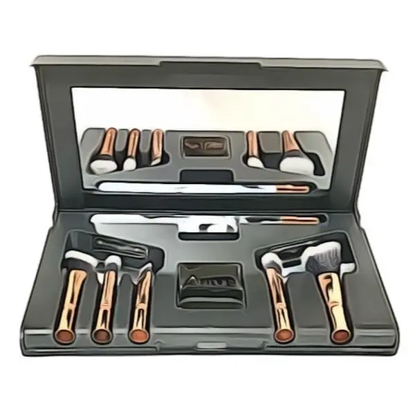 Aurora SwitchPro UV Makeup Brush Kit with Ergonomic Handle Interchangeable Heads & UV Sanitizing Case for Hygienic Application