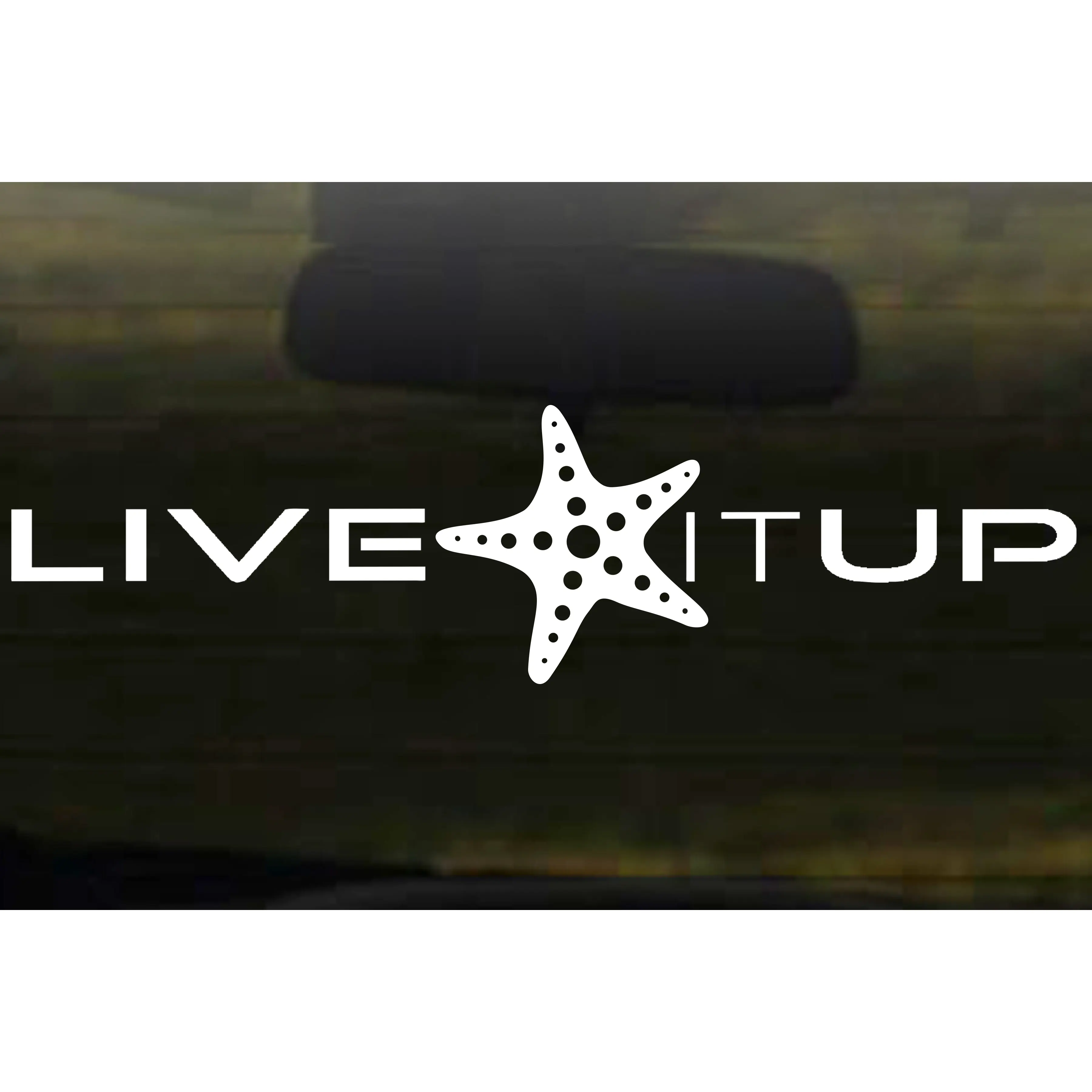 Starfish Vinyl Decal (Large)
