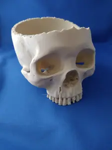 Skull Planter, Candy Bowl, Goth, Spooky