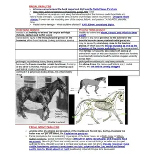 Complete Vet School Notes Bundle - Comprehensive BCSE and NAVLE notes with Past Exams with Answers - 1900+ Pages with Last minutes Notes