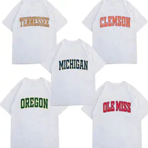 Custom College Team T-Shirt – Ash Grey Color, Choose Your Team, Vintage University Graphic Tee, Sport Style Fan Shirt, Game Day Shirt, Menswear & Womenswear