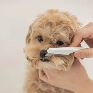 Keep your pet's fur healthy and shiny with this 1-piece dog and cat Grooming Comb!