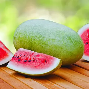 Heirloom Charleston Gray Watermelon Seeds - Grow Seeded Juicy Watermelons