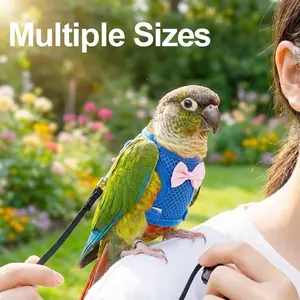 Parrot Harness Training Flying Rope Set with Leash, Parrot Outdoor Leash, Sun Conure Budgie Tiger Stripe Small Sun Release Rope, Bird Flight Vest, Bird Flying Clothes with Rope and Handle for Outdoor Activities Training, Anti Bite, Father's Day Gift