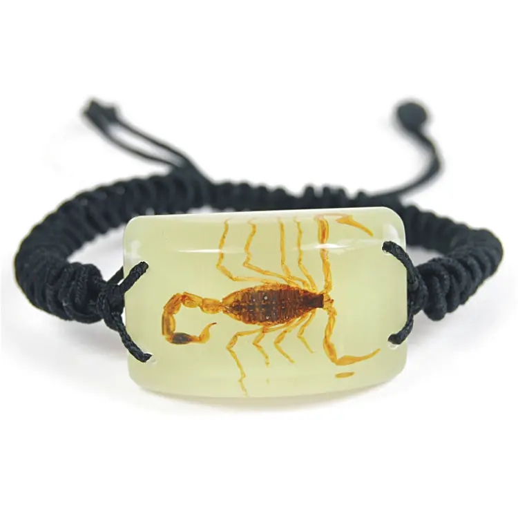 Glow in the Dark Rectangle Shaped Pendant Bracelet with Real Brown Scorpion