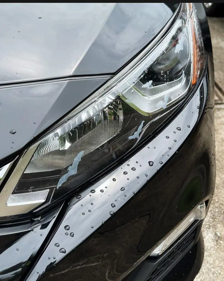 Bats Headlight Taillight Decals - 18 Stickers, 2 Sheets, Water & UV-Resistant, Easy Application