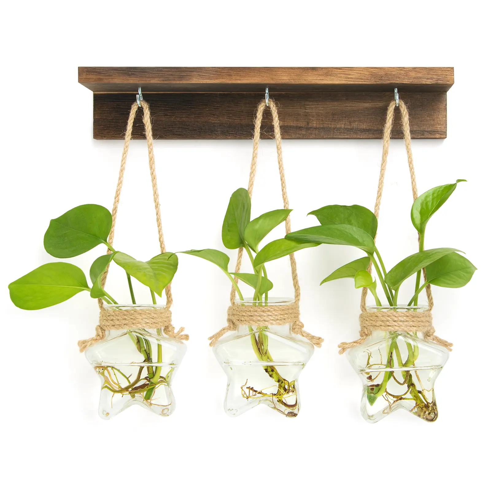 XXXFLOWER 3-Star Glass Terrariums Set with Rustic Wooden Rack - Wall-Mount, Space-Saving, Natural Rustic Style for Plant Propagation, Home Decor Supplies, No