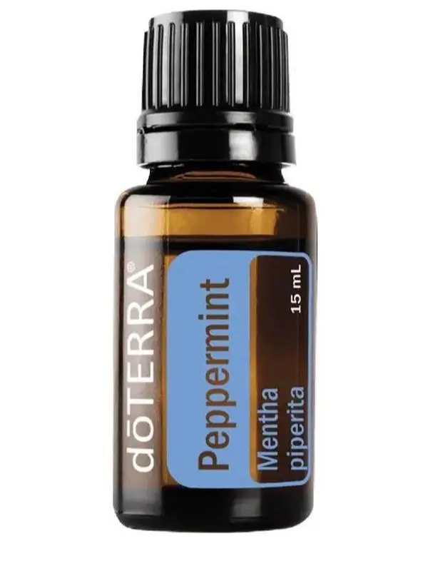 Peppermint Essential Oil Peppermint Essential Oil