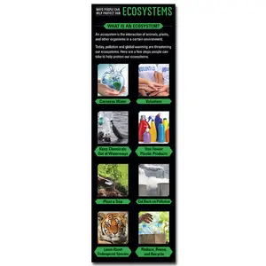 Ecosystems Giant Banner