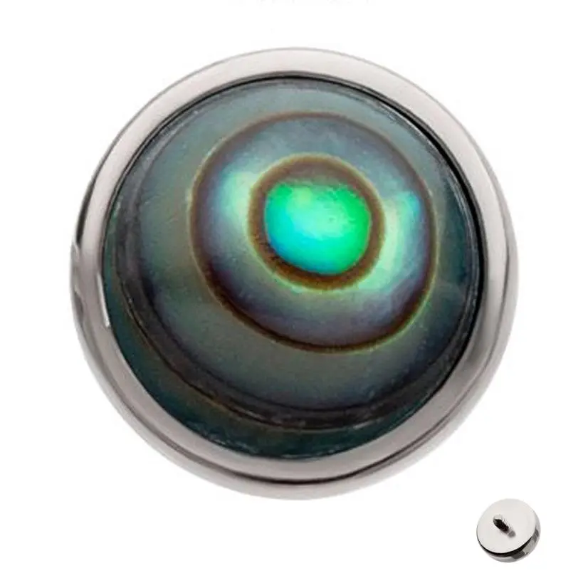 Bezel Abalone Shell Titanium Internally Threaded Top