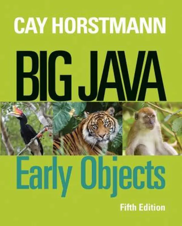 USED Book - Big Java: Early Objects by Horstmann, Cay S. (Paperback) - english