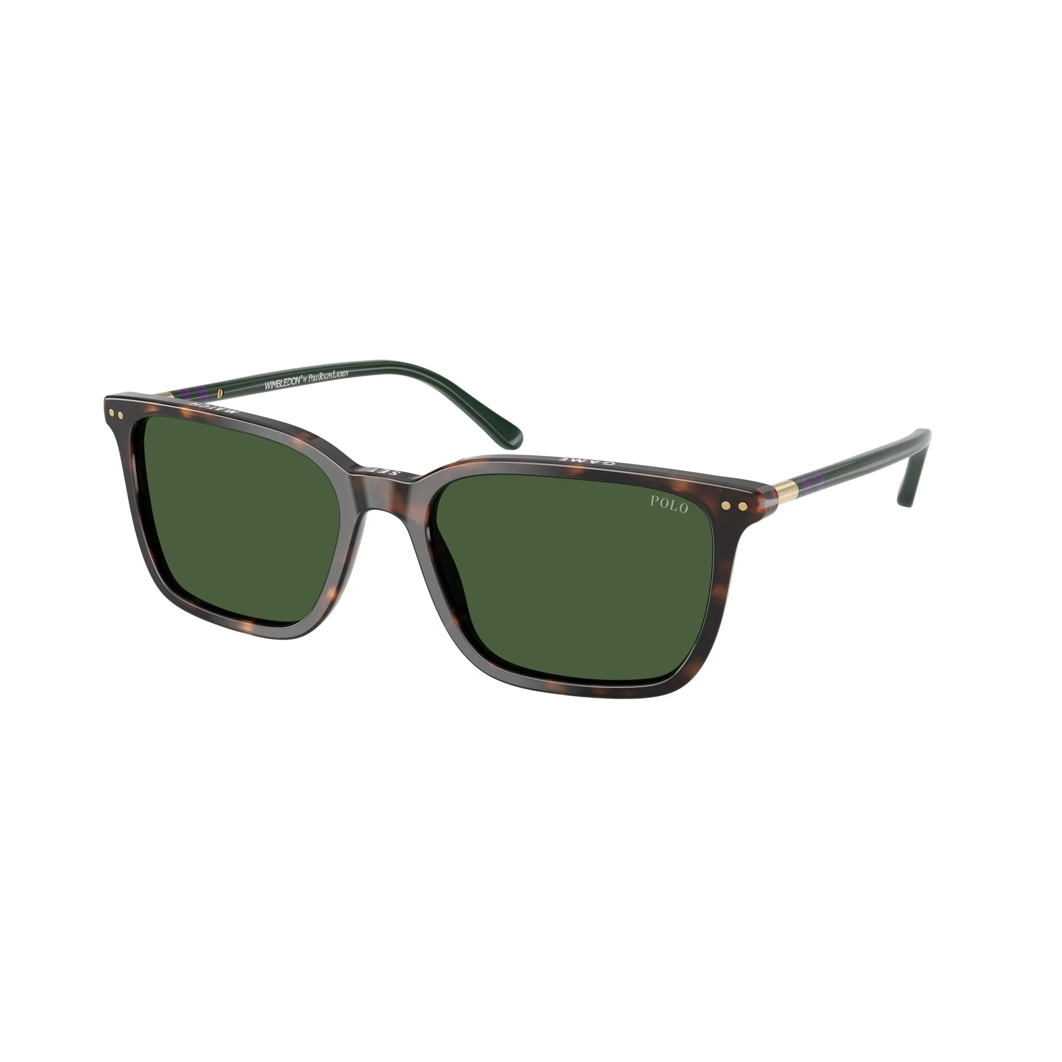 Polo 4226 Sunglasses