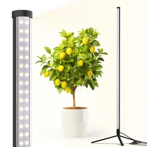 Barrina T10 Standing Grow Light 4FT, 42W, 5000K, Full Spectrum, Vertical LED Plant Light, Wide Coverage, with On/Off Switch and Tripod Floor Stand