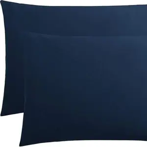Queen Size Pillowcase (2 Pack) Skin Silk Pillow Case Standard Pillows 20x30 size Pillow Cases, Envelop Closure, Wrinkle-Resistant Soft Comfy Bedding Durable Bedding Accessories