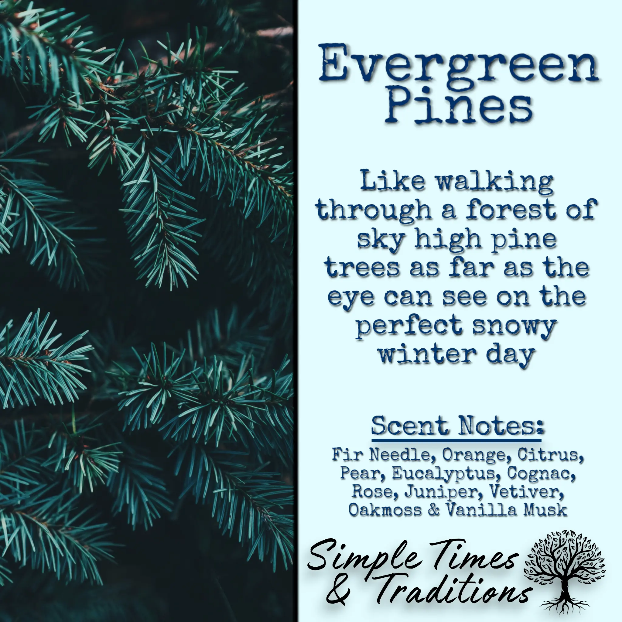 Evergreen Pines