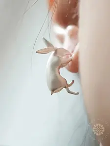 Cute Rabbit Earrings Set, Durable & Stylish Jewelry Gift for Women Girls, Perfect Party Accessory Daily Wear