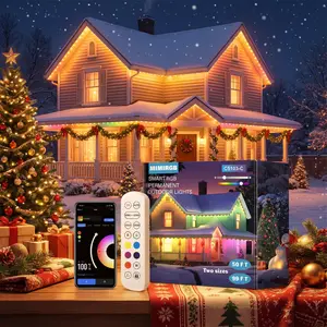 MIMIRGB Smart RGB Permanent Outdoor Lights C5103-C with Controller & Infrared Remote Includes 36 Clips Mounting Screws and Manual RGB Eaves Lights Garden Lamp for Patio Ambiance Christmas Decorations RGBIC IP67 Eave Lights with Alexa Waterproof tiktokshop