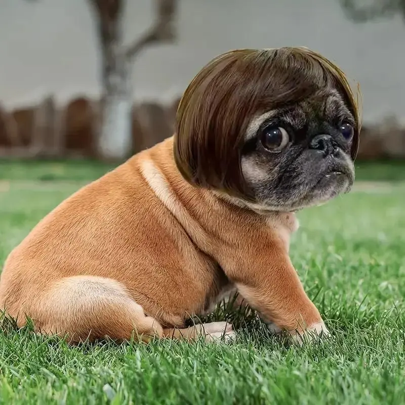 Cute Short Hair Wig Pet Headband, Funny Pet Wig Hair Accessories for Dogs & Cats, Valentine's Day Gift