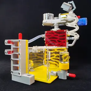1PC DIY Ant Nest Villa with Feeding Area Acrylic Insect Cage Ant Habitat for House Ants Farm Pet Mania Insect Anthills Ant Enclosure