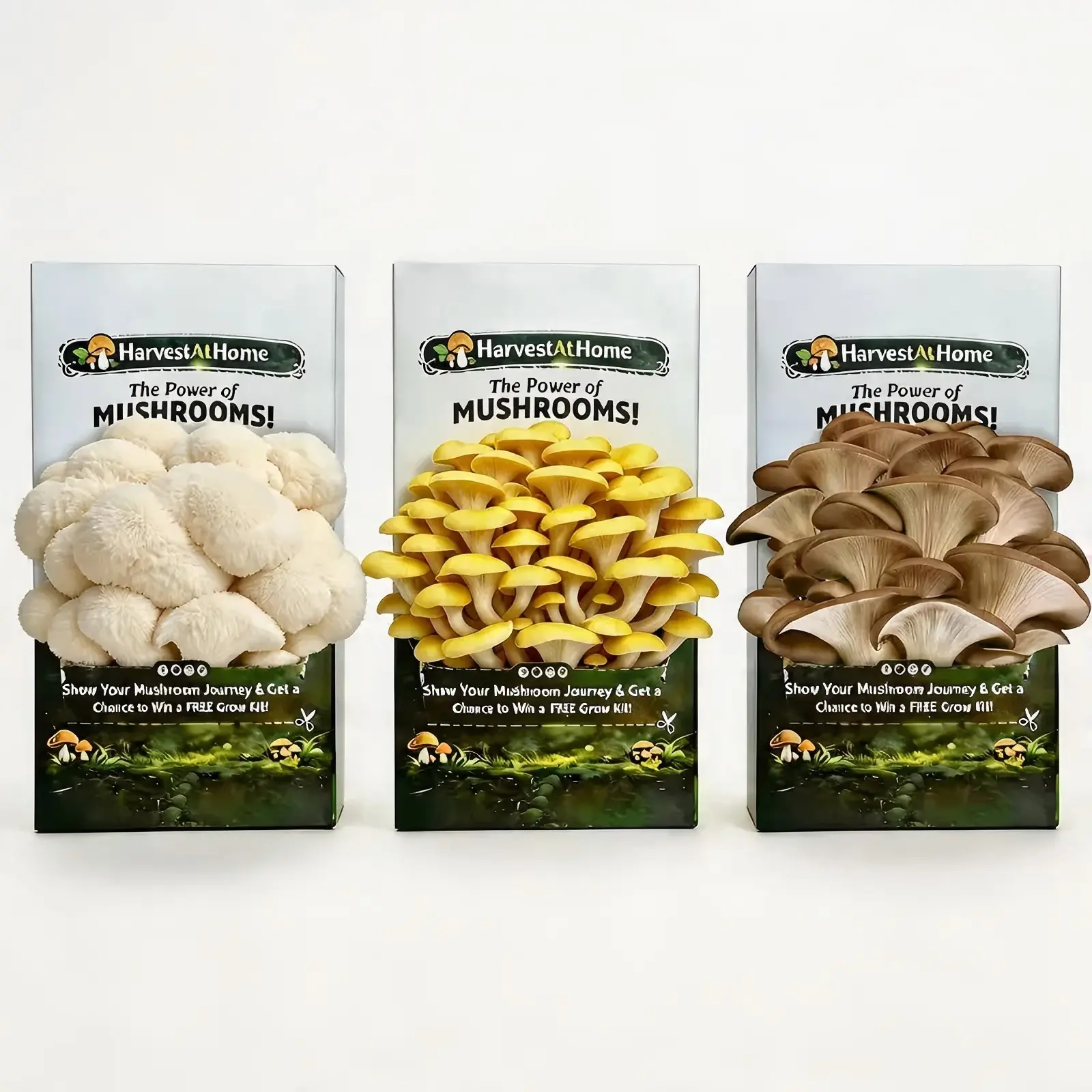 HarvestAtHome Organic Oyster Mushroom Kit 3-Pack (3.5lb) - Pure Mycelium Edible Fungi, 1-7 Days Fast Growth, Visual Experience, Holidays/All Seasons, Made in USA for Adults, Fast Growing