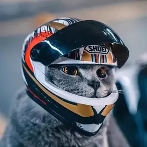 Cat Motorcycle Helmet, Pet Safety Helmet, Cool Mini Motorbike Cap, Protective Helmet for Cats & Dogs, Stylish Pet Accessory