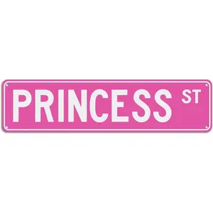 T&R Pink PRINCESS ST Sign, 16 x 4 inches .040 Aluminum, Room Decor for Girls Cave, Bedroom, Dorm, Wall, 4 Pre-drilled Holes