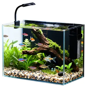 PAWGIANT 2.5 Gallon Nano Nature Aquarium Kit, Ultra-Clear Rimless Desktop Tank with Light, Filter and Pebbles, Perfect for Small Fish, Shrimp, or Betta, Black