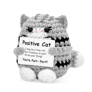 Handmade Crochet Positive Cat Doll, Cute Healing Plush Decor, Student Desk Encouragement Gift, Single Piece, Soft and Cozy