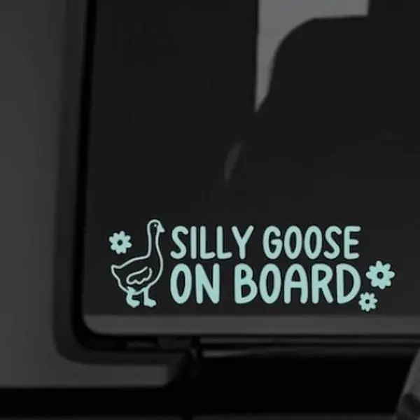 Silly Goose On Board