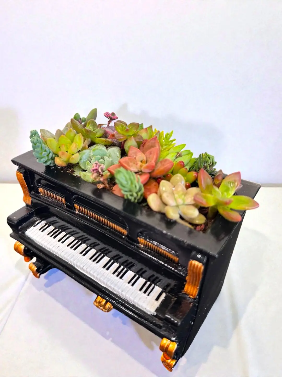 Mini Piano Succulent Plant – Multi-Succulent Arrangement,Cute Vintage Piano Flower Pot,Indoor Live Plant,Gift for Home Office Decoration,Desktop Decor