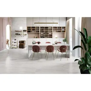 Akoya Silver Matte 24 x 48