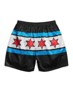 Chalk Line | CM Punk Money in the Bank 2011 Entrance Shorts – WWE Championship Wrestling Mesh Shorts for Men | Retro Gym & Streetwear Athletic Shorts Inspired by Iconic Chicago Match