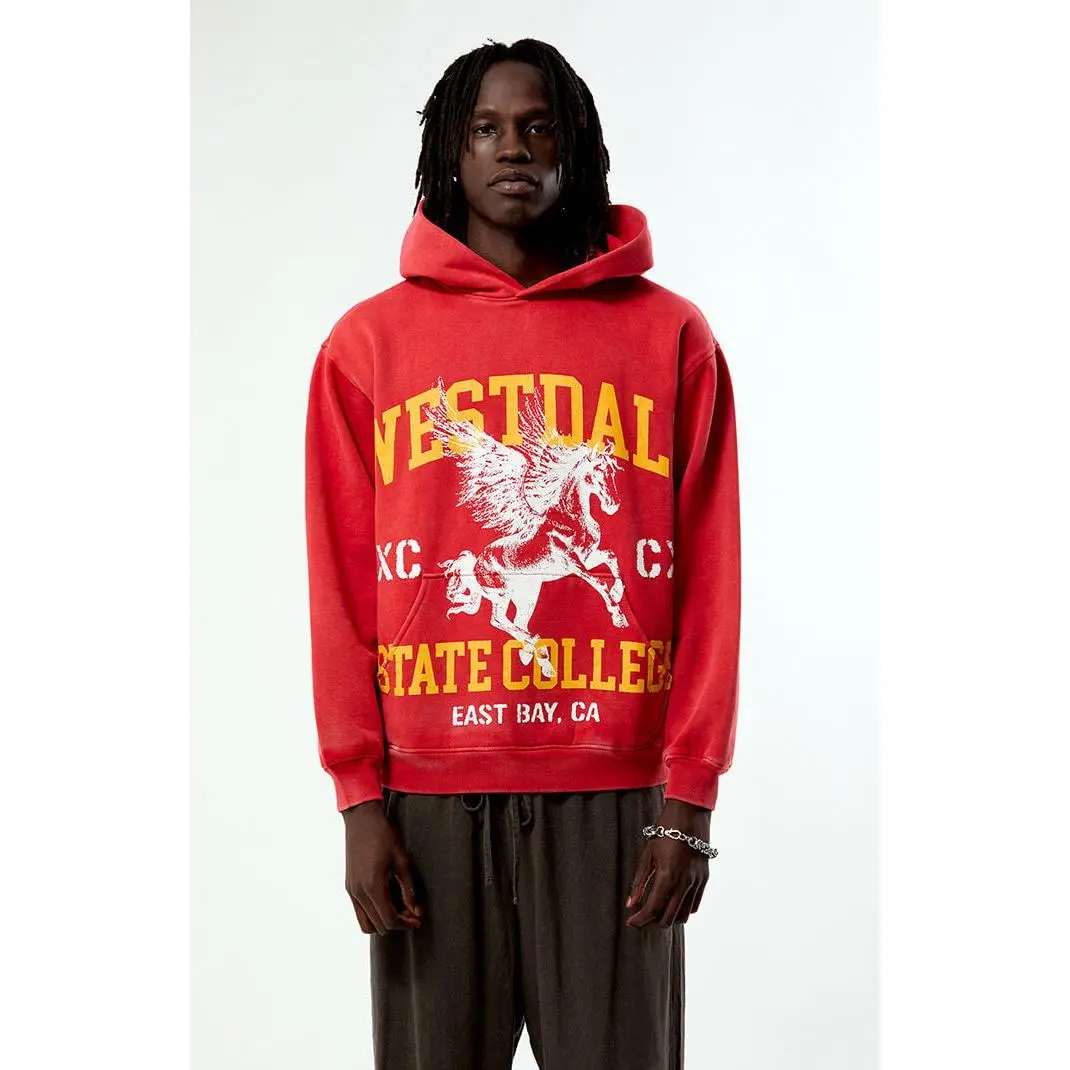 Pacsun Men's Red Athletic Westdale Hoodie