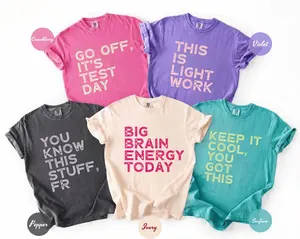 Custom Test Day Shirt Comfort Colors, Matching State Testing Tshirts, Invigilator Shirts, Gen Z School Testing Day Tee, Testing Coordinator Shirt, Exam Motivation