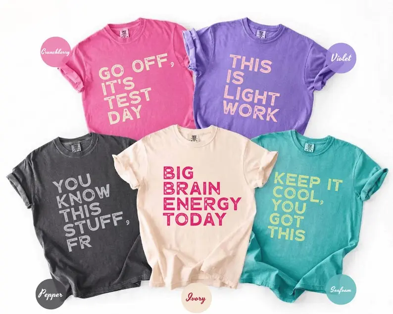 Custom Test Day Shirt Comfort Colors, Matching State Testing Tshirts, Invigilator Shirts, Gen Z School Testing Day Tee, Testing Coordinator Shirt, Exam Motivation